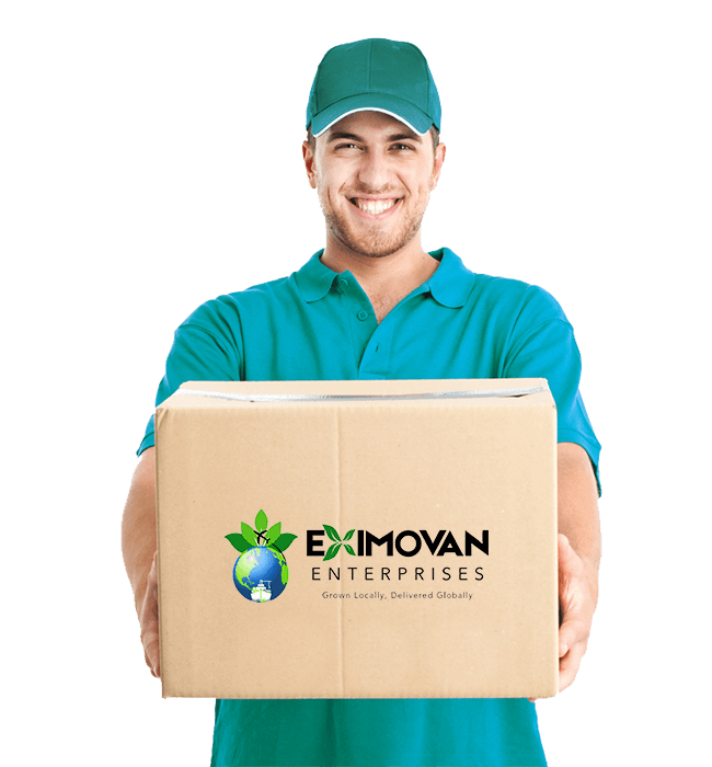 We Have the Strategy to Grow your Business