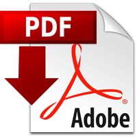 Download Document