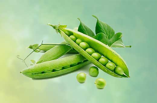 Green peas Export