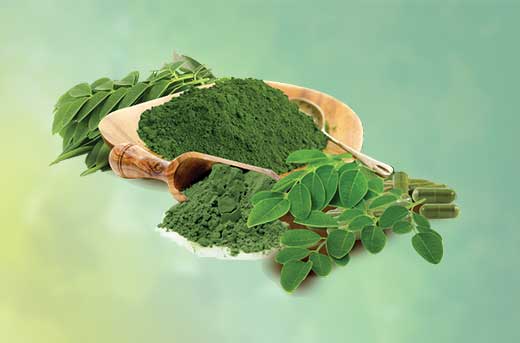 Dehydrated Moringa Leaf Powder